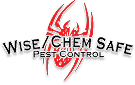 Spider Identification Guide | Wise / Chem Safe Pest Control - GC